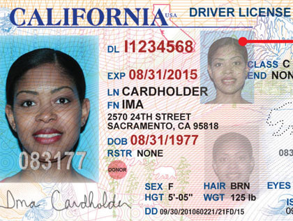 dmv drivers license check florida